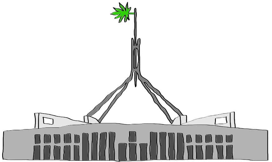 canberra cannabis