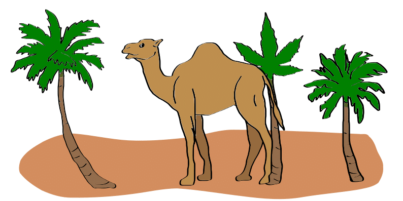 weed in Saudi Arabia