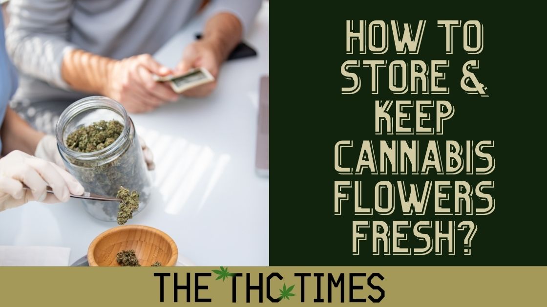 How to Store & Keep Cannabis Flowers Fresh?