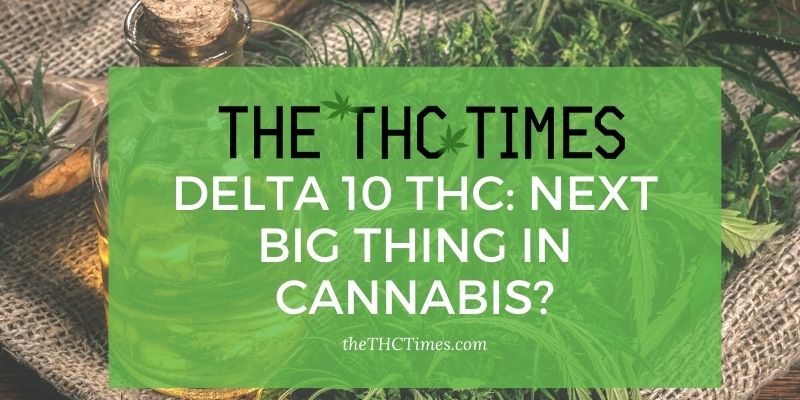 Delta 10 THC: Next big thing in cannabis?