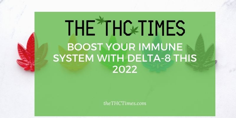 Boost Your Immune System With Delta-8 This 2022