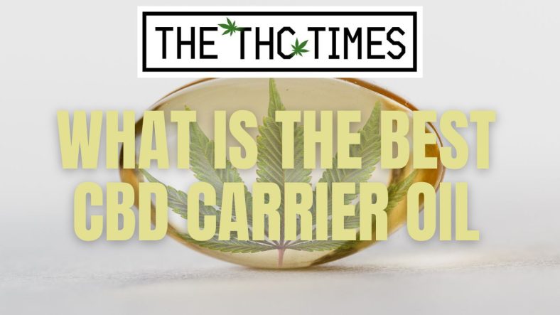 What is the Best CBD Carrier Oil