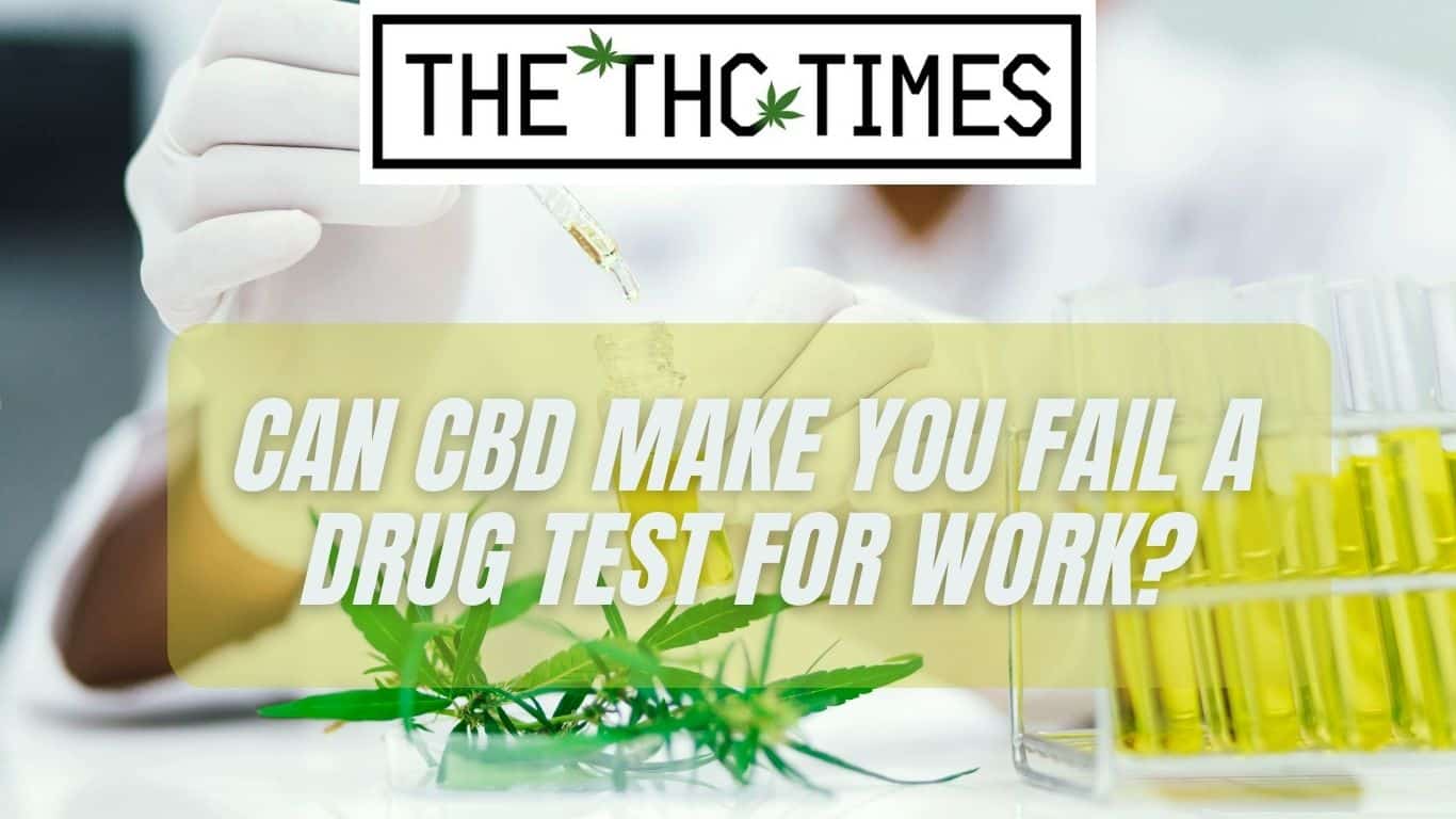 Can CBD Make You Fail a Drug Test for Work?