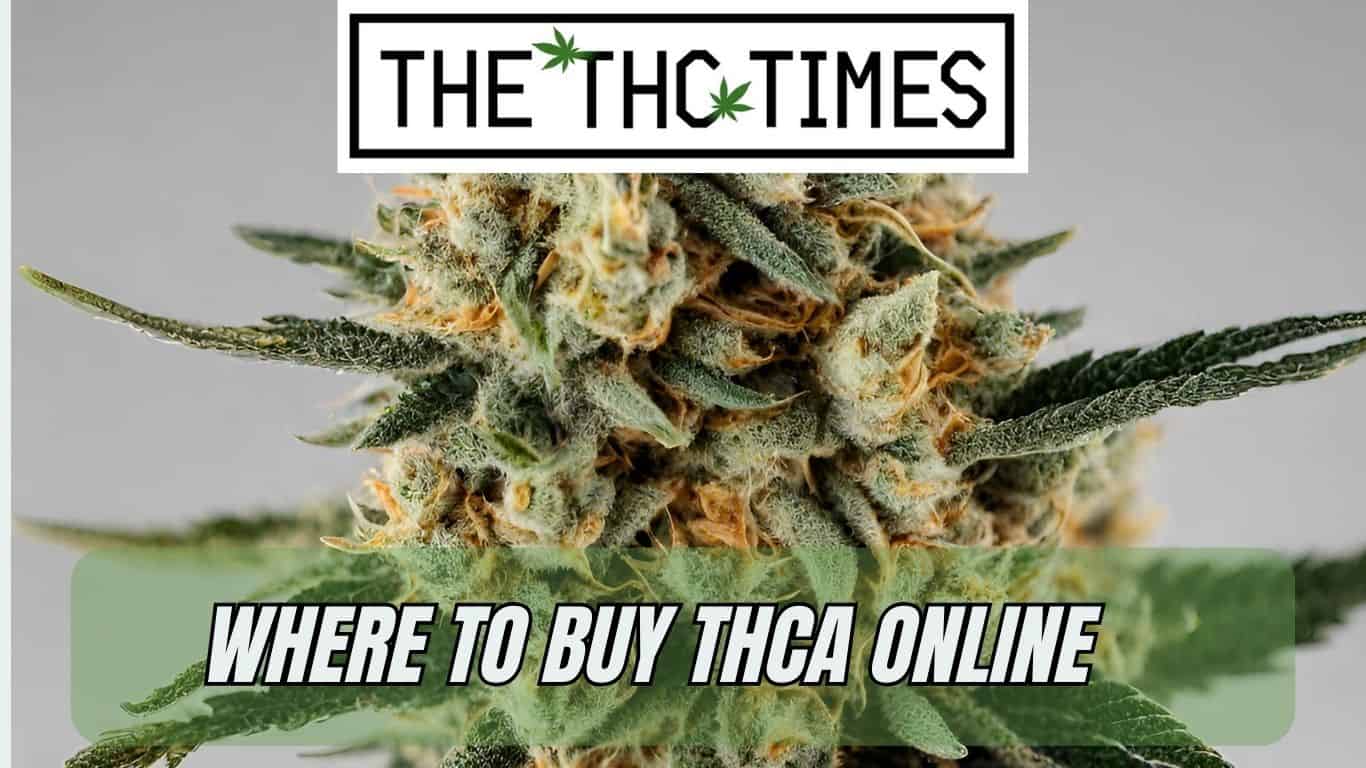 Where To Buy THCA Online That Offers Discounts!