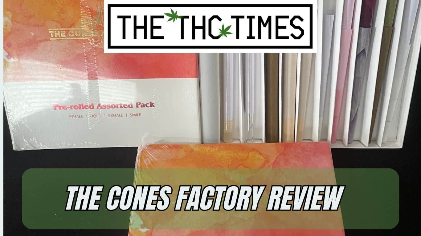 The Cones Factory Review