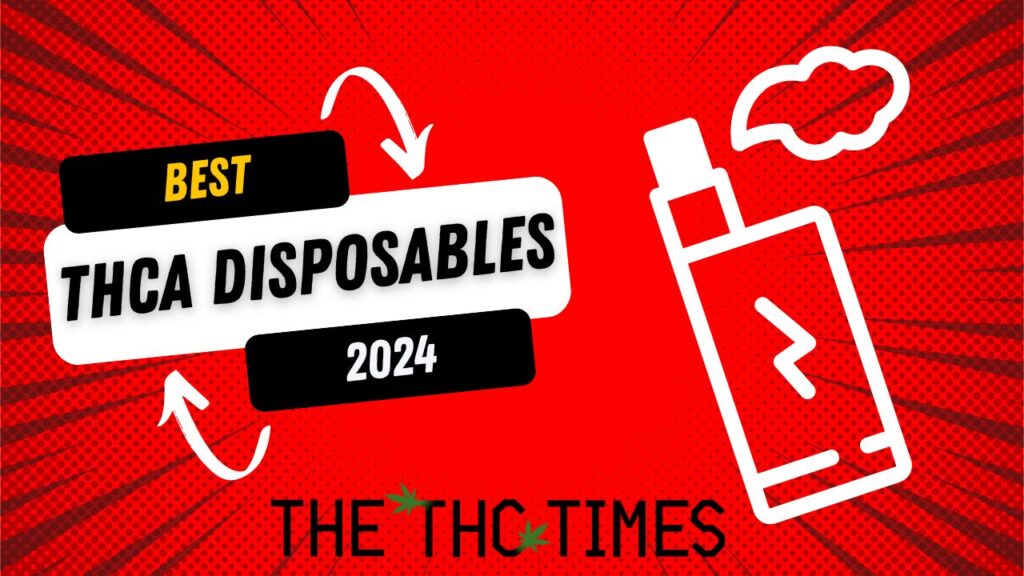 Best THCA Disposables To Try This Year The THC Times